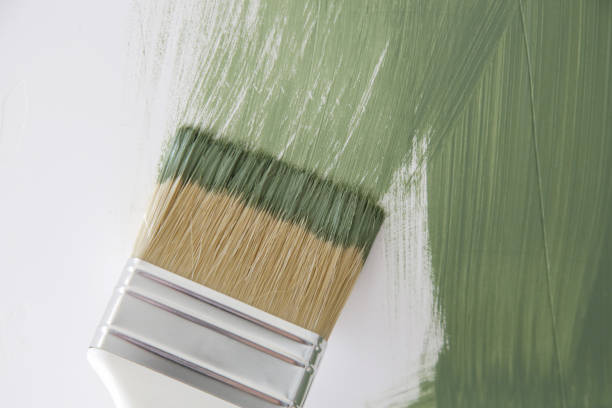 Best Black Mold Removal  in Palatine, IL