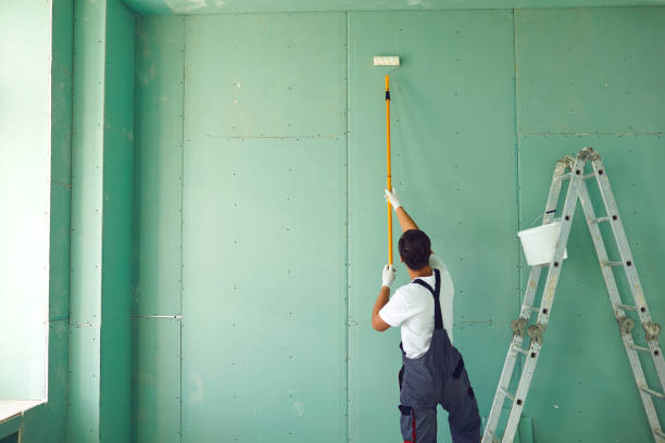 Best Mold Remediation for Vacation Homes  in Palatine, IL