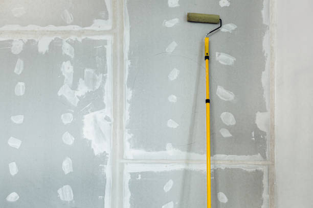 Best Dehumidification Services  in Palatine, IL