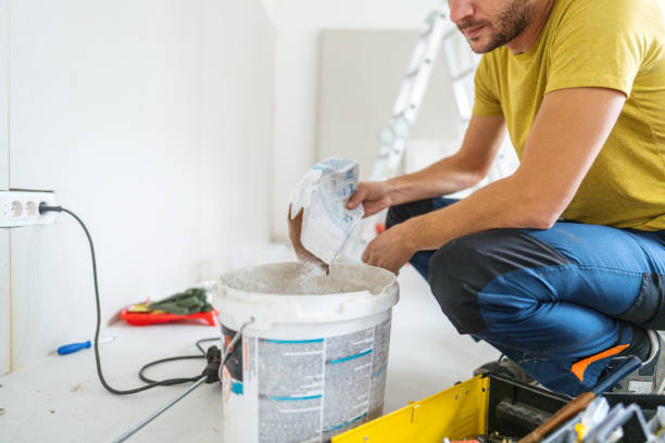 Best Residential Mold Inspection & Testing  in Palatine, IL