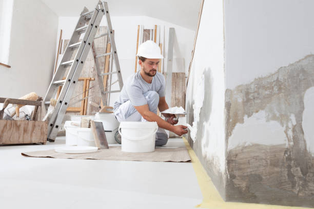 Best Air Quality Testing for Mold Spores  in Palatine, IL