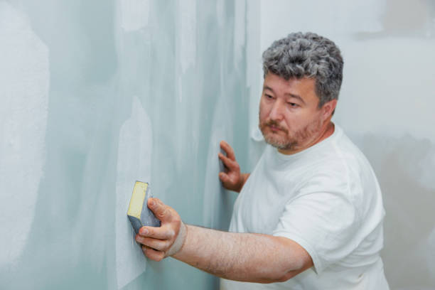 Best Real Estate Mold Inspection  in Palatine, IL