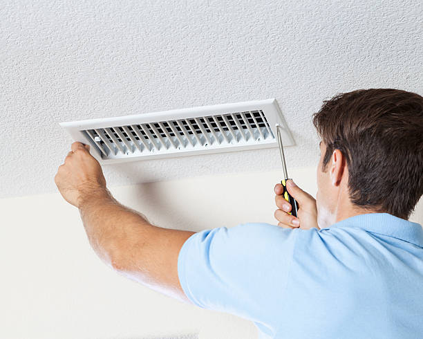  Palatine, IL Mold Removal Pros