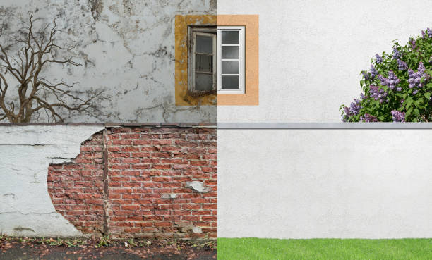 Environmental Consulting for Mold Prevention in Palatine, IL