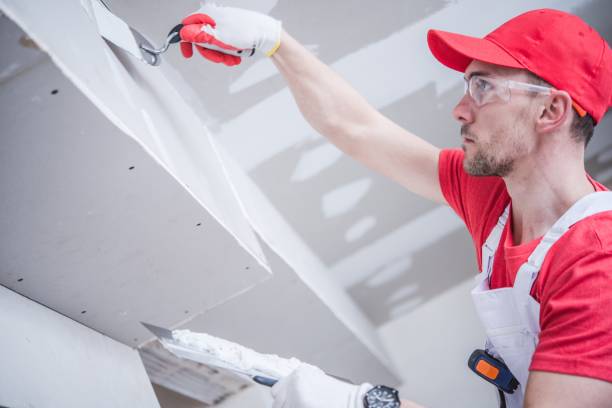 Best Commercial Mold Inspection  in Palatine, IL